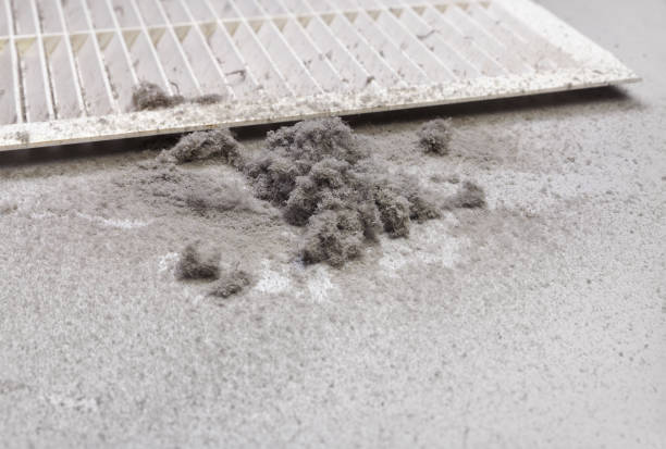 Best Commercial Air Duct Cleaning  in Prudenville, MI