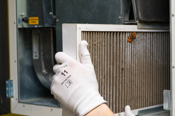 Best Air Duct Sanitizing Services  in Prudenville, MI
